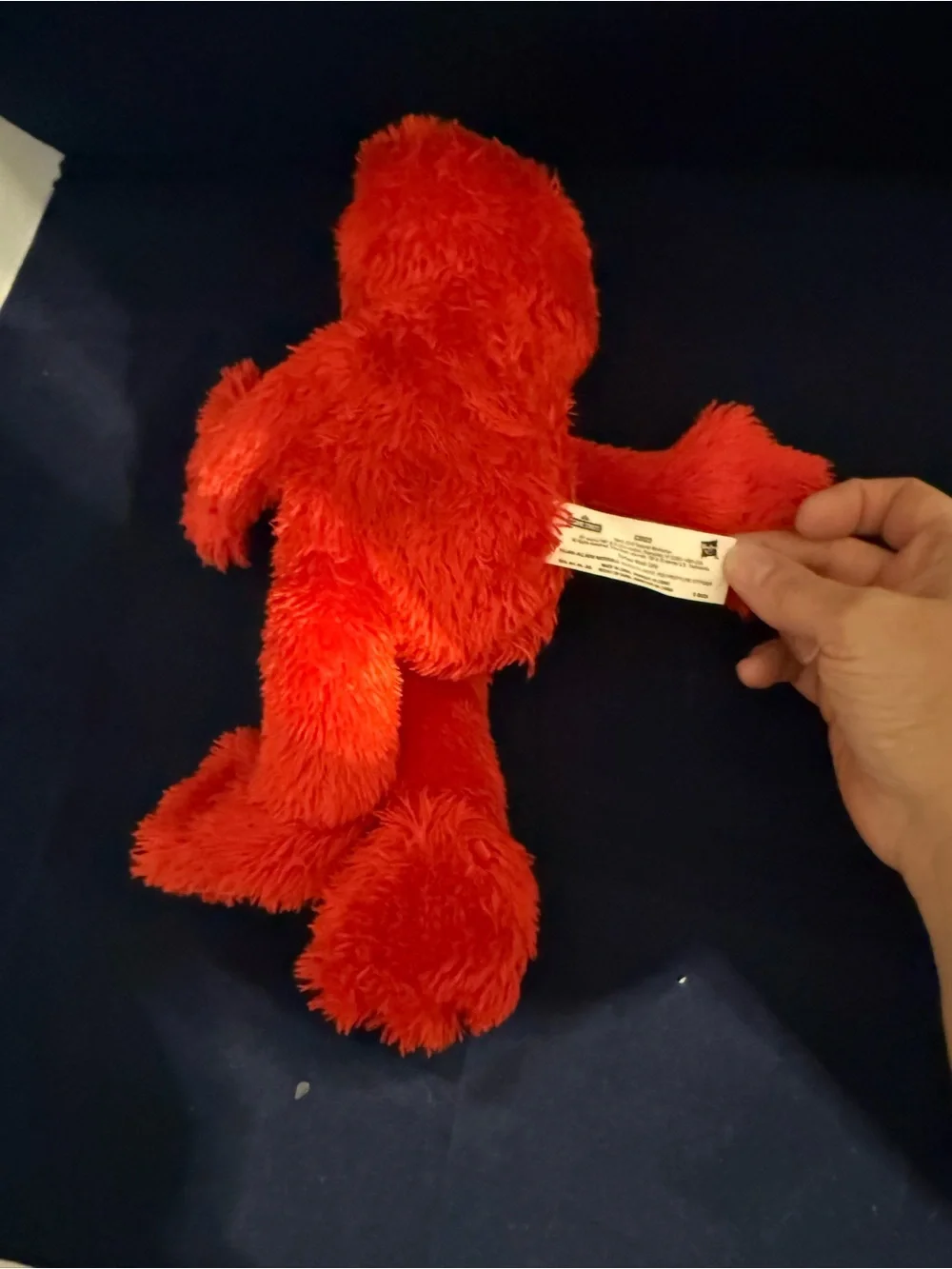 Sesame Street 2016 tickle